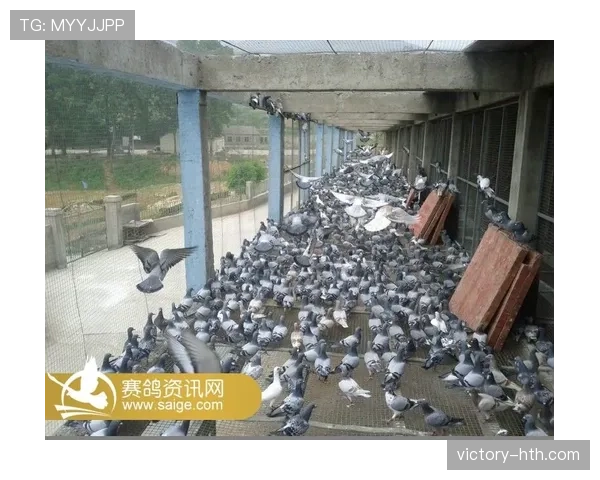 Vini分享休赛期生活新动态